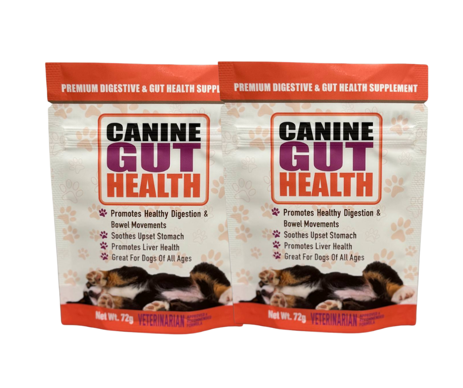 CANINE GUT HEALTH