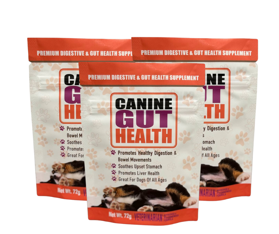 CANINE GUT HEALTH