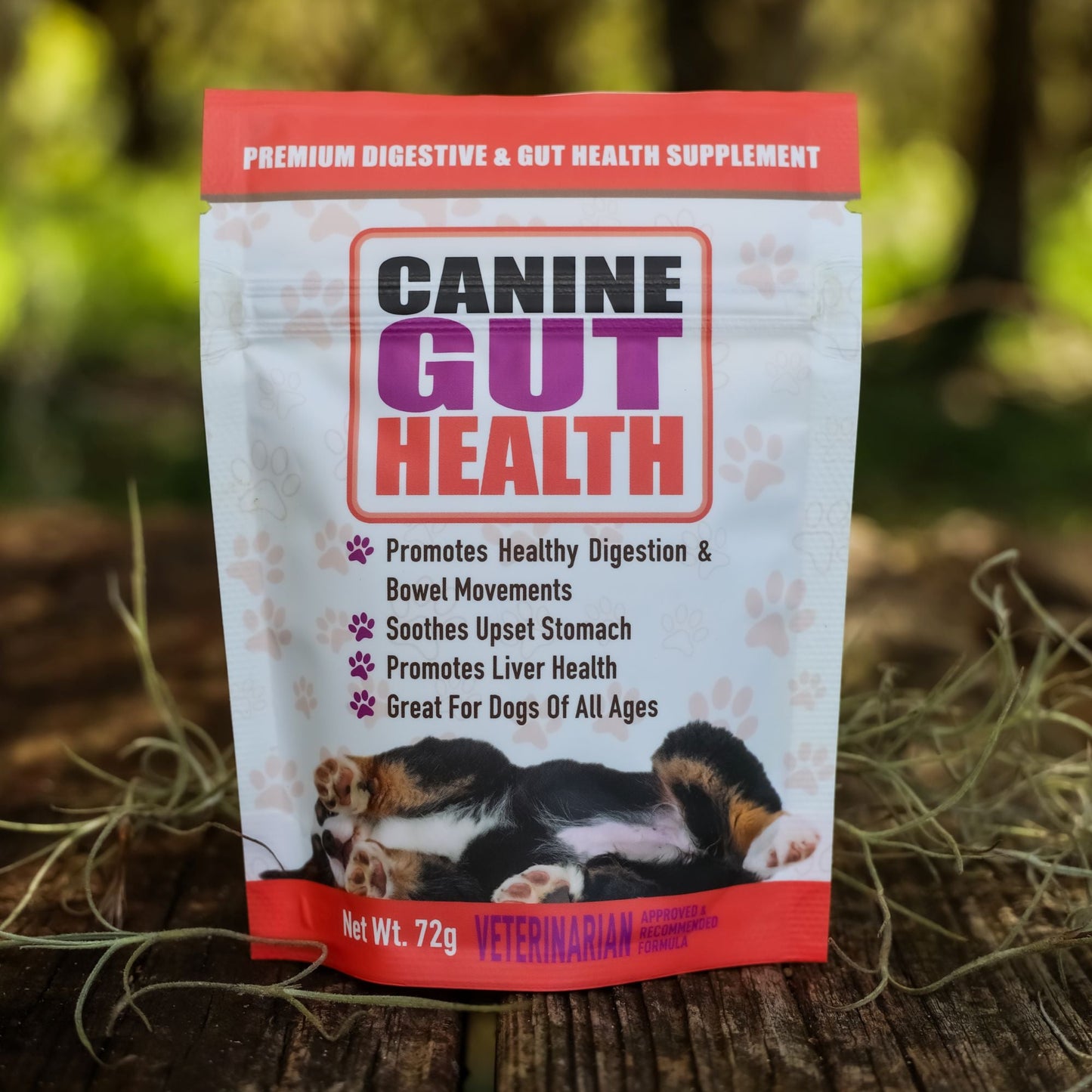 CANINE GUT HEALTH